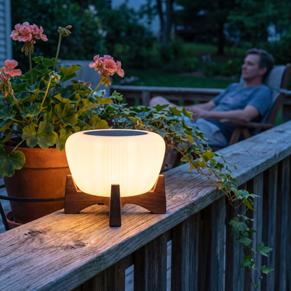 Solar Landing Light